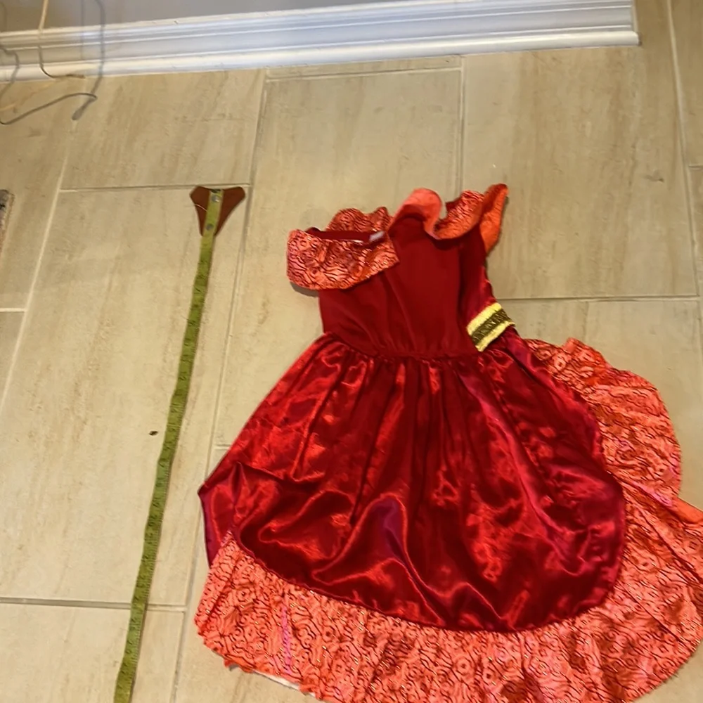 Disney’sElana costume tags have been cut out size small